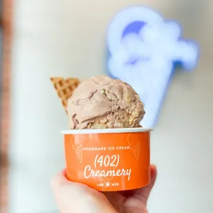 a hand holding a cup of ice cream