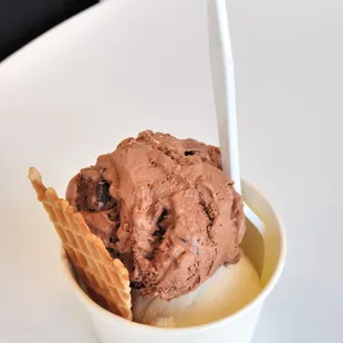 a scoop of chocolate ice cream