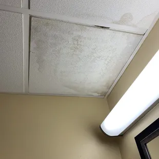 Ceiling above the toilet/sink