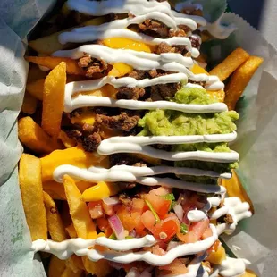 Carne asada fries