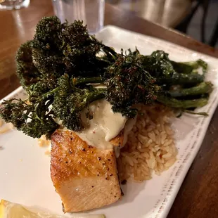 Salmon
