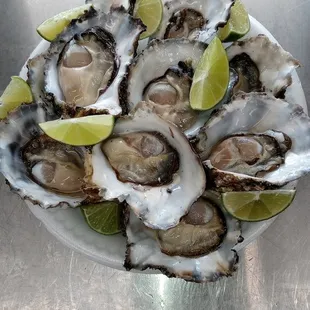 Fresh Oysters