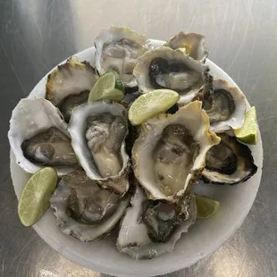 Fresh Oysters