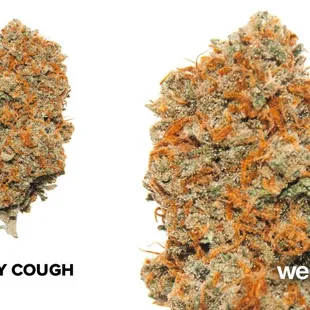 Sahara Wellness - Medical Marijuana Dispensary Las Vegas
420 E Sahara Ave Las Vegas, NV 89104
(702) 478-5533
420sahara.com
Me...