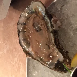 Oysters