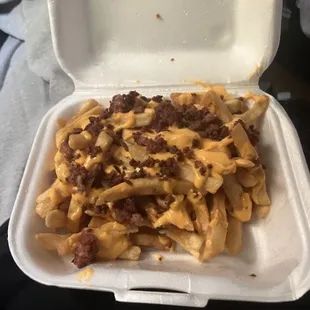 66-Bacon Cheese Fries