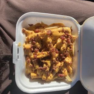 66-Bacon Cheese Fries