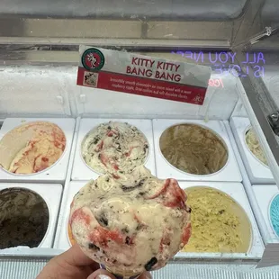 My favorite flavor at 44 scoops "kitty kitty bang bang" cheesecake, berry, chocolate in vanilla ice cream.