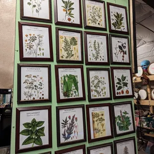 A visual breakdown of the flavor ingredients in their absinthe. Love seeing flavors &amp; ingredients, helps in recognizing flavors.