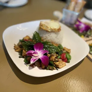 Tofu basil