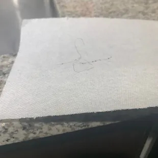 The hair that was found in my wings.