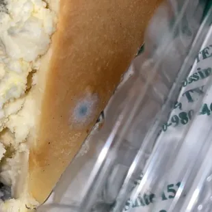 Moldy Cheesecake