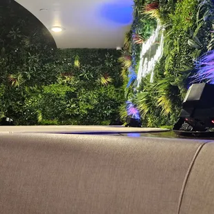 Back Couch Lounge Area