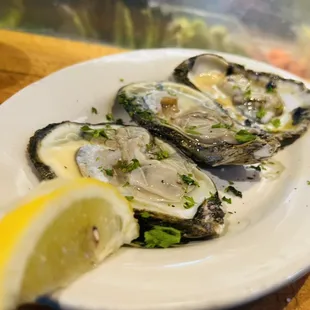 Oysters