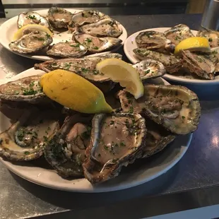 Oysters on the Half Shell