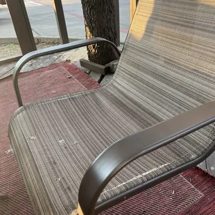 Poop on the patio chair
