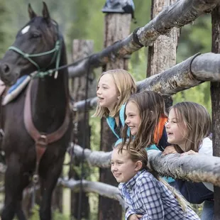 Patiently awaiting their turn in the arena