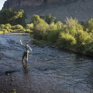 Fly fishing on Goose Creek