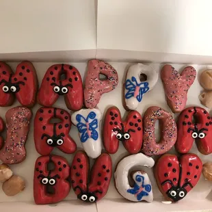 Ladybug themed