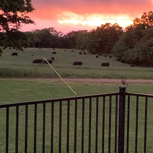 Sisters front porch sunset