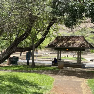 They are located behind the main KCC bus stop on Diamond Head Road.