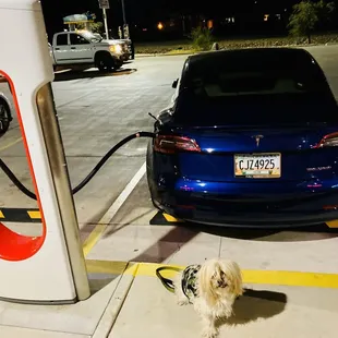 8 New Tesla supercharging stations  at the Valero 5R in Deming, New Mexico.  I&apos;m charging at 3A - 136KW Nice.