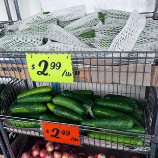 Bittermelon and Fuzzy Melon