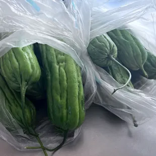 Bittermelon for days