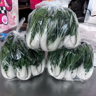 Bok choy
