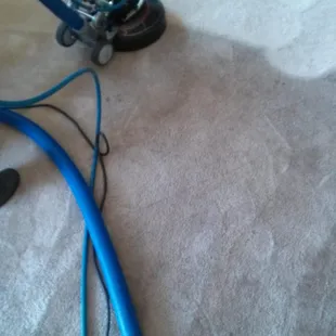 Homeowner thought they needed to replace this carpet.  We saved them $$$$