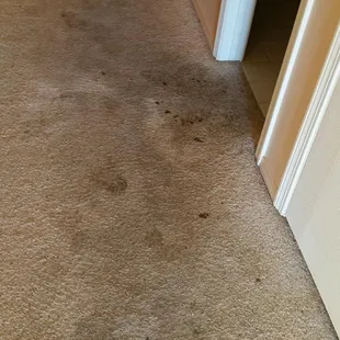 This is what was left after the renter moved out