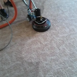 Restoring this carpet back to a healthy state