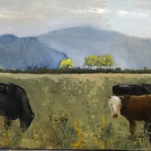 Jackson Hole Wyoming