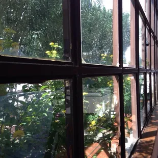Floor to ceiling windows