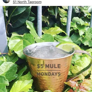 That&apos;s right, we are open Mondays again and our $5 Mules are back!!!
.
.
.
#51northtaproom #thenations #thenations615 #mondayspecial