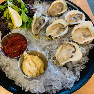 Half- Dozen Fresh Oysters!