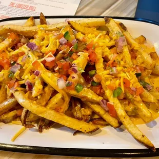 Queso fries - full order