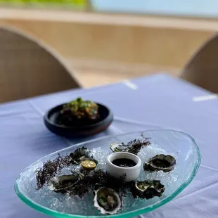 Half shell Fresh Oysters