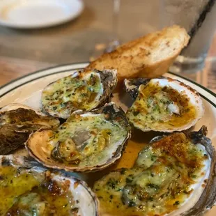 a plate of oysters and bread