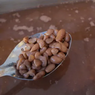 a spoon full of beans