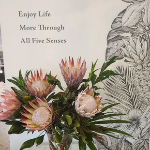 interior, sushi and sashimi