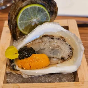 a plate of oysters with cavia