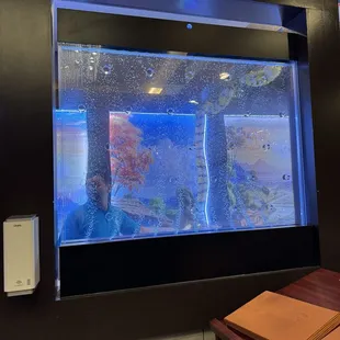 Cool water feature at the cashier's area