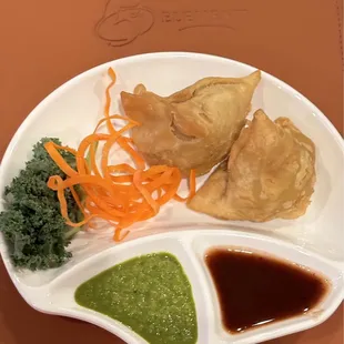 Vegetable Samosa DELICIOUS - July 1, 2024