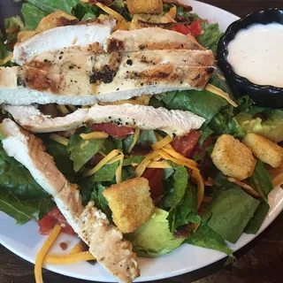 Grilled Chicken Salad