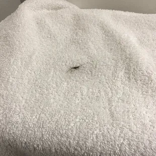 Hair on towel
