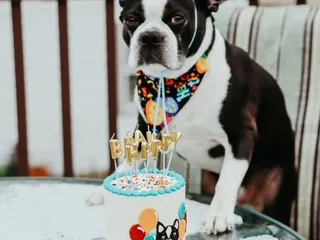 Classy Girl Cupcakes