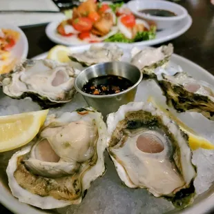 Raw oysters