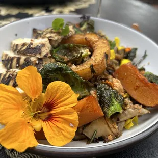 Wild mushroom oriecchetti with grilled chicken