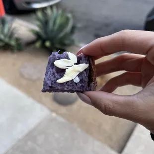 Sample of blue corn sourdough